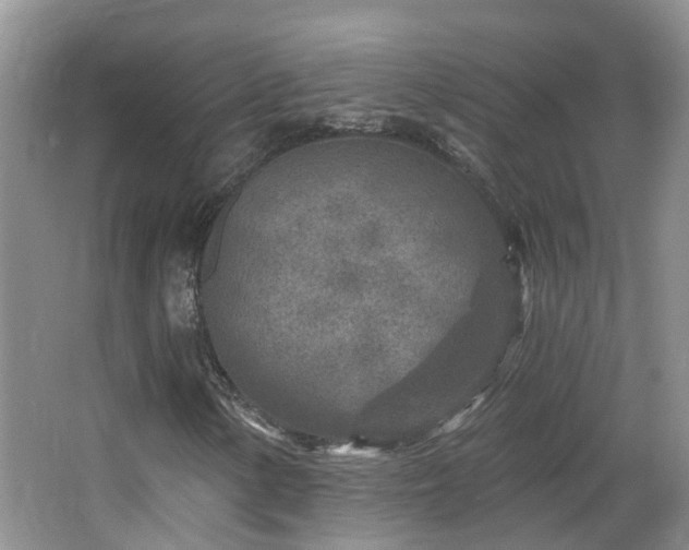 X0000064761154200602101216