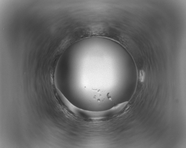 X0000064761155200602101216