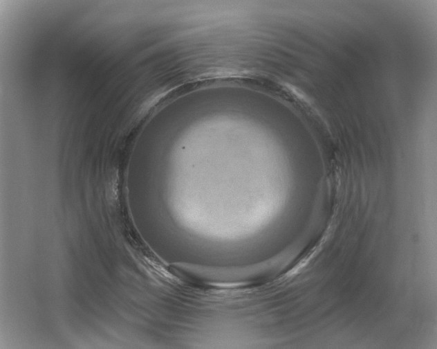 X0000064761161200602101216