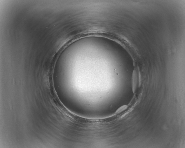 X0000064761162200602101216