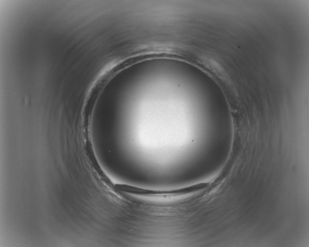 X0000064761172200602101215