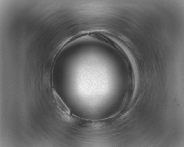 X0000064761177200602101215