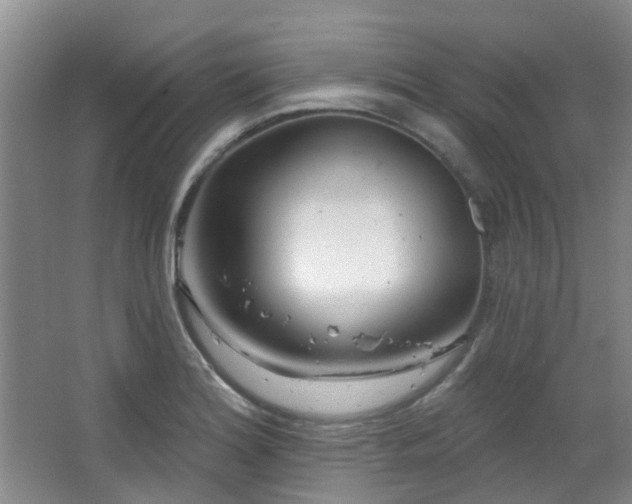 X0000064761180200602101215