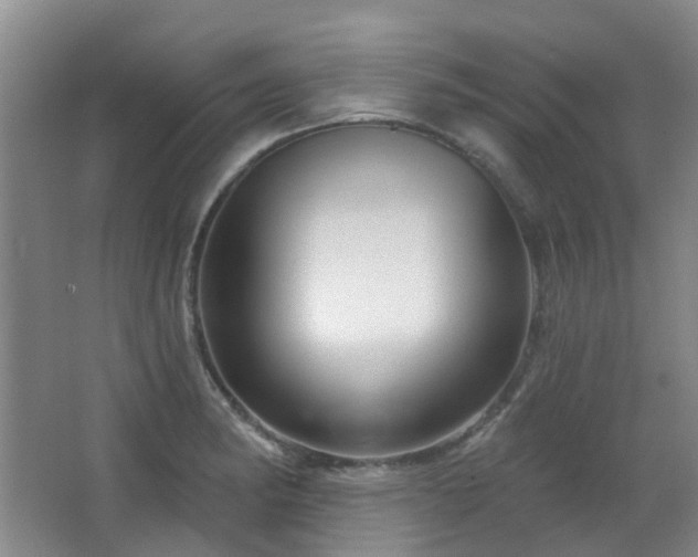 X0000064761182200602101215
