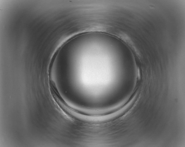 X0000064761184200602101215