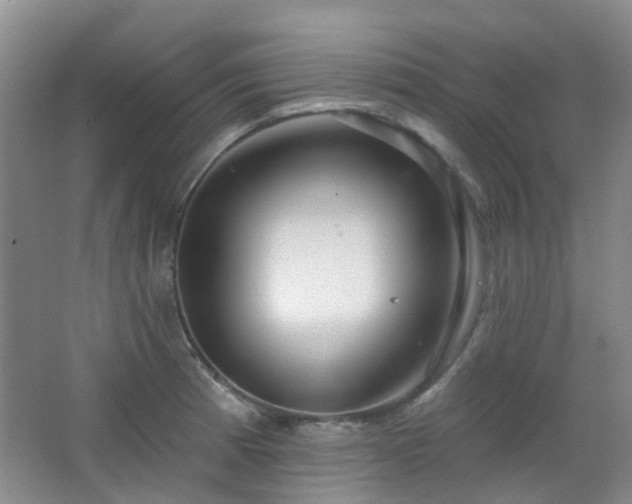 X0000064761185200602101215