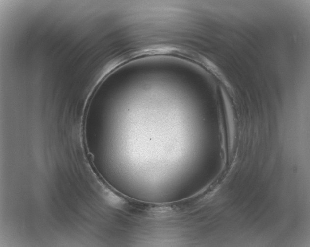 X0000064761186200602101215