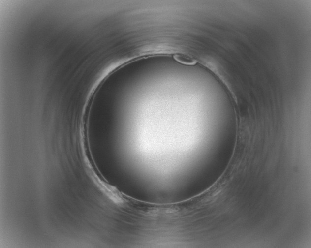 X0000064761187200602101215