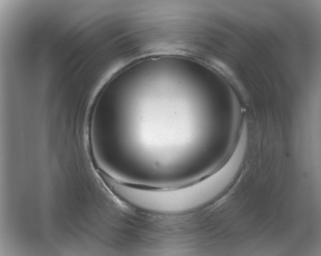 X0000064761188200602101215