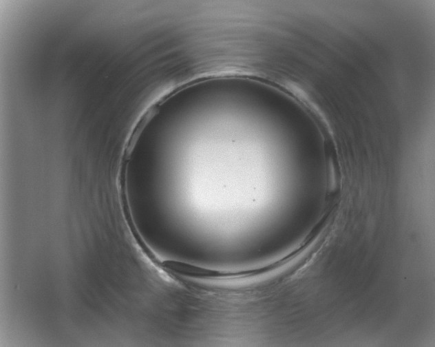 X0000064761189200602101215