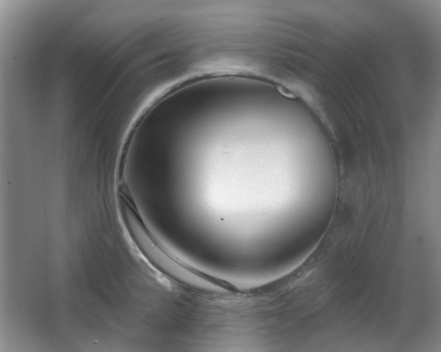 X0000064761191200602101215