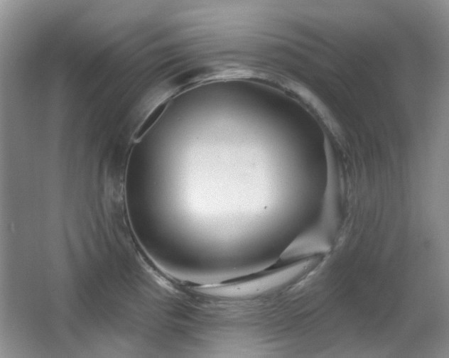 X0000064761193200602101215