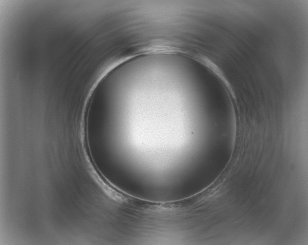 X0000064761195200602101215