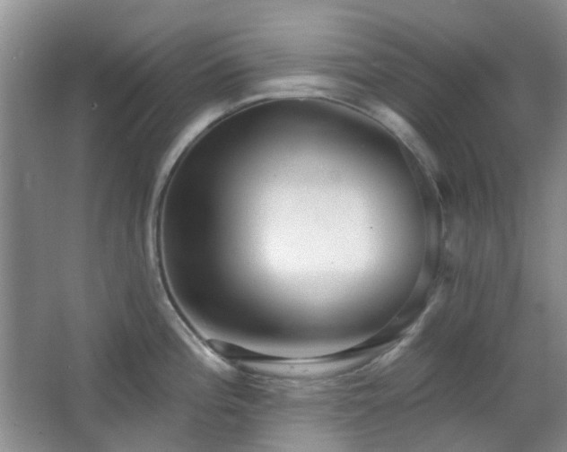 X0000064761196200602101215