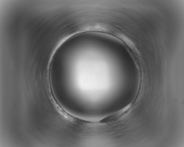 X0000064761200200602101215