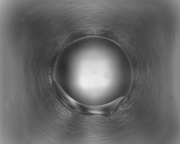 X0000064761202200602101214