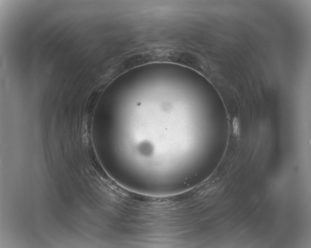 X0000064761203200602101214