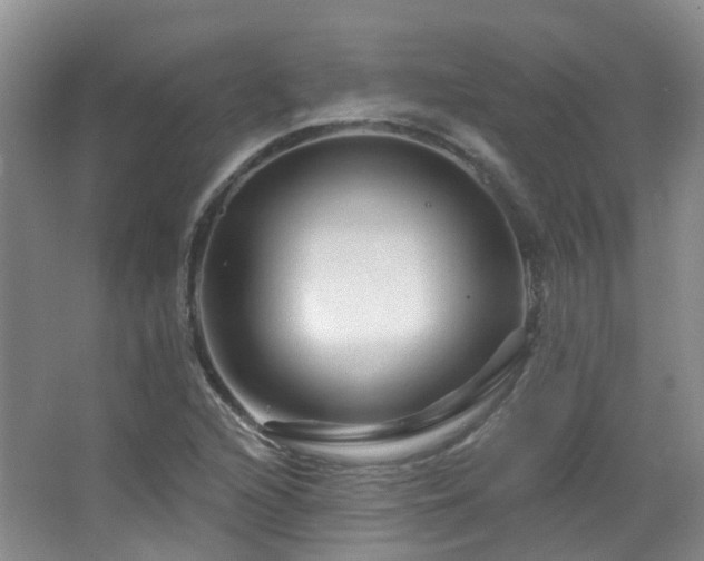 X0000064761216200602101214