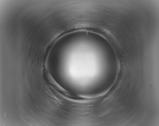 X0000064761217200602101214