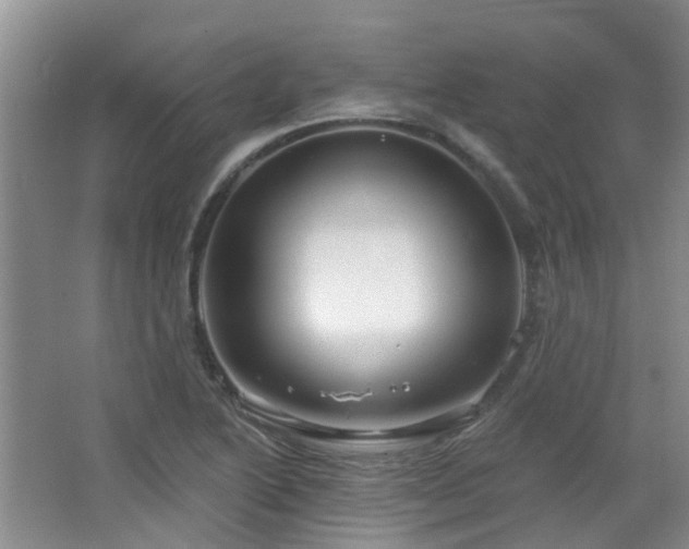 X0000064761222200602101214