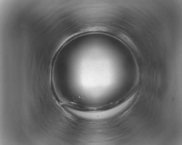 X0000064761228200602101215