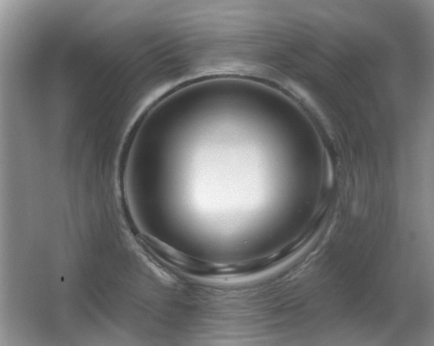 X0000064761230200602101215