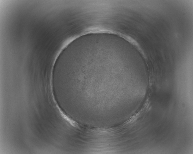 X0000064761231200602101215