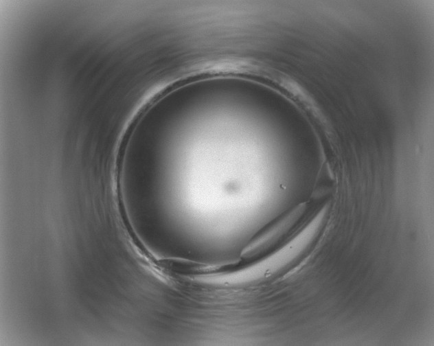 X0000064761232200602101215