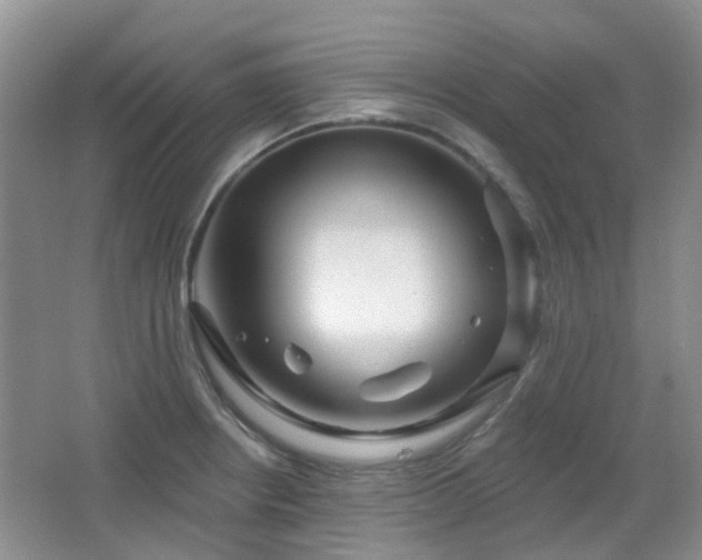 X0000064761234200602101215
