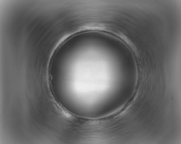 X0000064761240200602101215