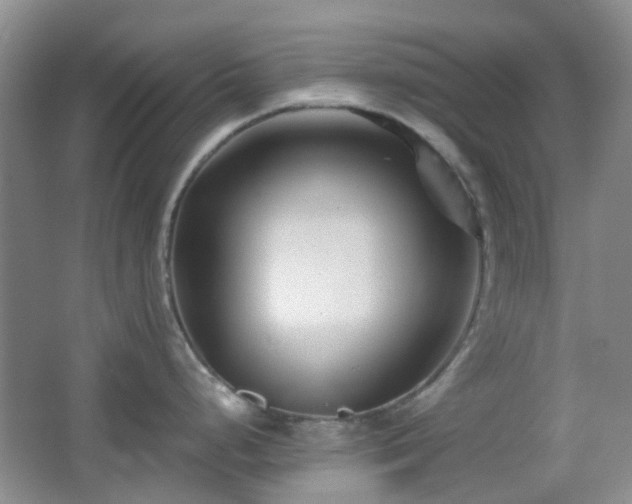 X0000064761248200602101215