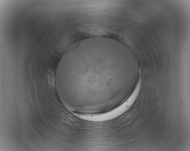 X0000064761251200602101214