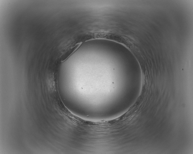 X0000064761252200602101214
