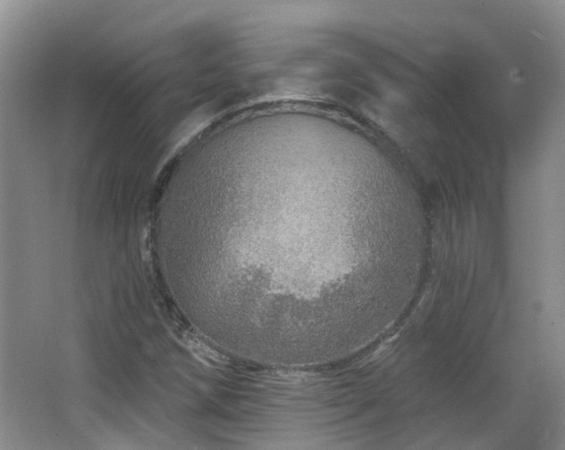 X0000064761258200602101214