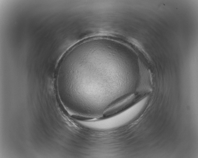 X0000064761260200602101214