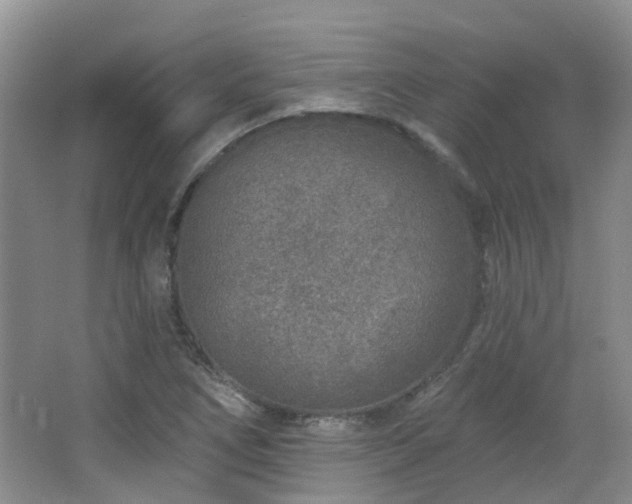 X0000064761266200602101214