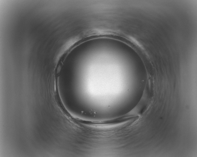 X0000064761269200602101214