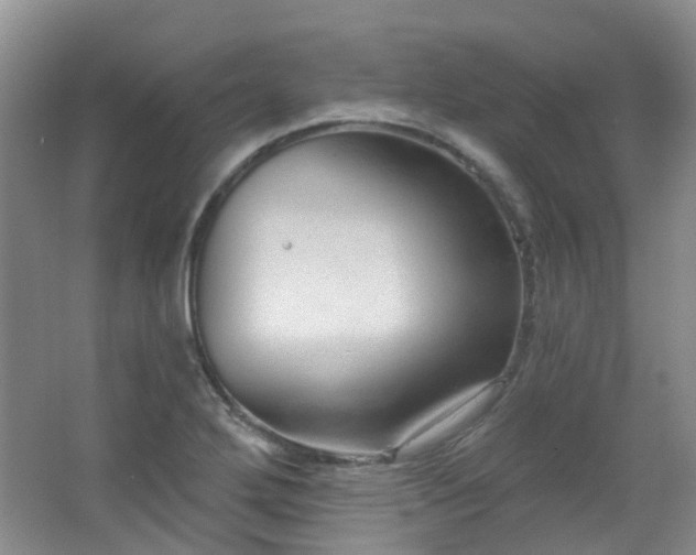 X0000064761272200602101214