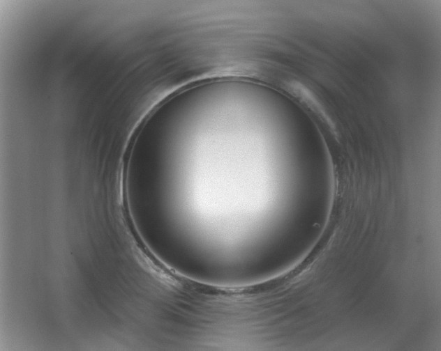 X0000064761276200602101214