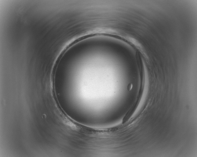 X0000064761280200602101214