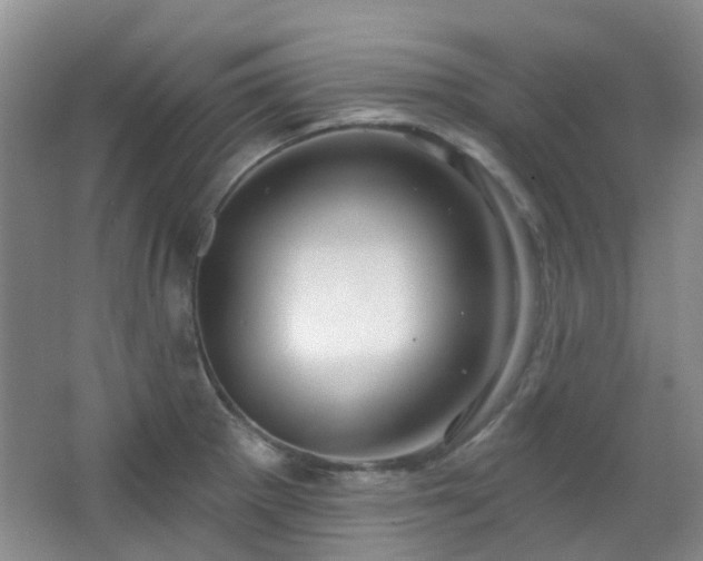 X0000064761281200602101214