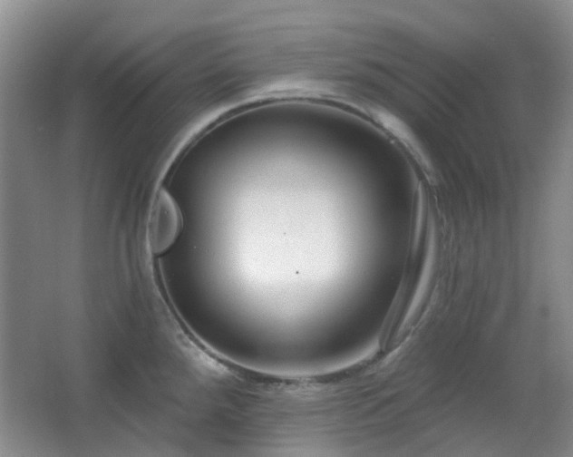 X0000064761288200602101213