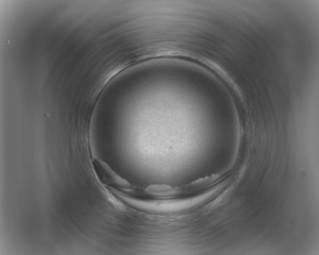 X0000064761289200602101213