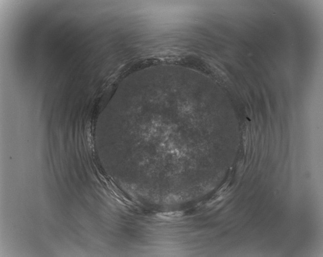 X0000064761298200602101213