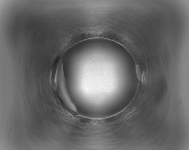 X0000064761299200602101213