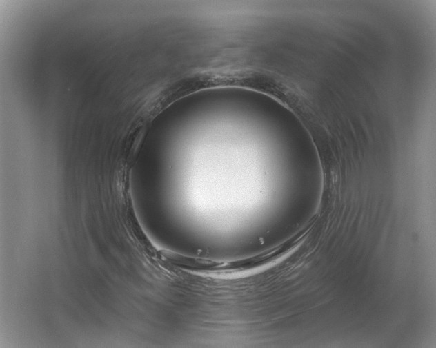 X0000064761300200602101213