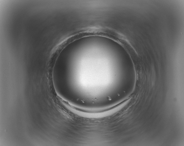 X0000064761304200602101213
