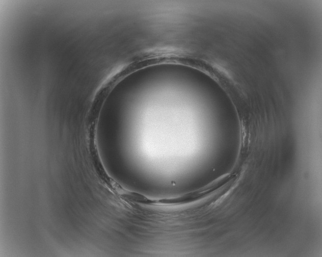 X0000064761309200602101213