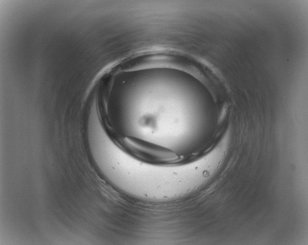 X0000064761314200602101213