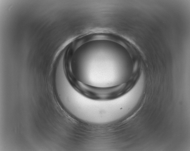 X0000064761317200602101213
